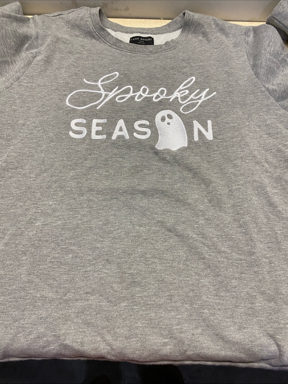 Lane Bryant Gray 'Spooky Season' Embroidered Crew Sweatshirt - Picture 7 of 9